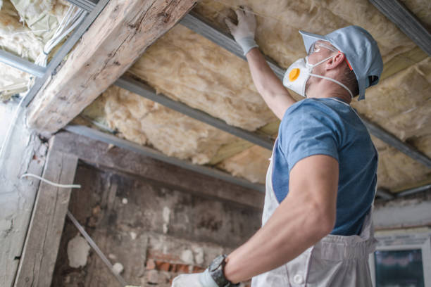 Best Energy-efficient Insulation  in Independence, OH